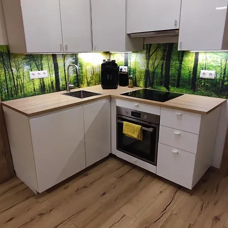 Schoene Mit Terrasse Und Parkplatz Appartamento